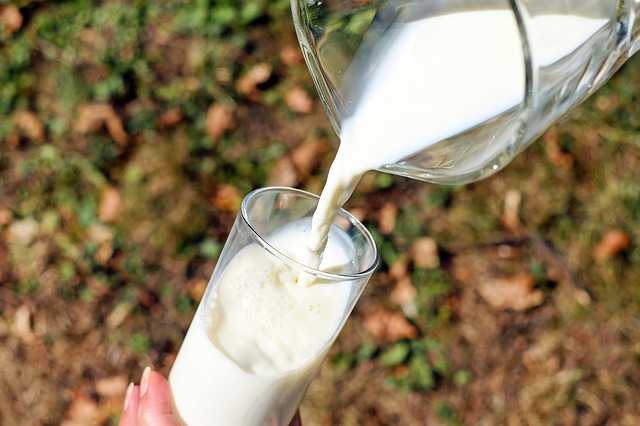 kozie-mlieko - zdravý nápoj