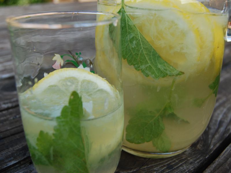 citronova limonada