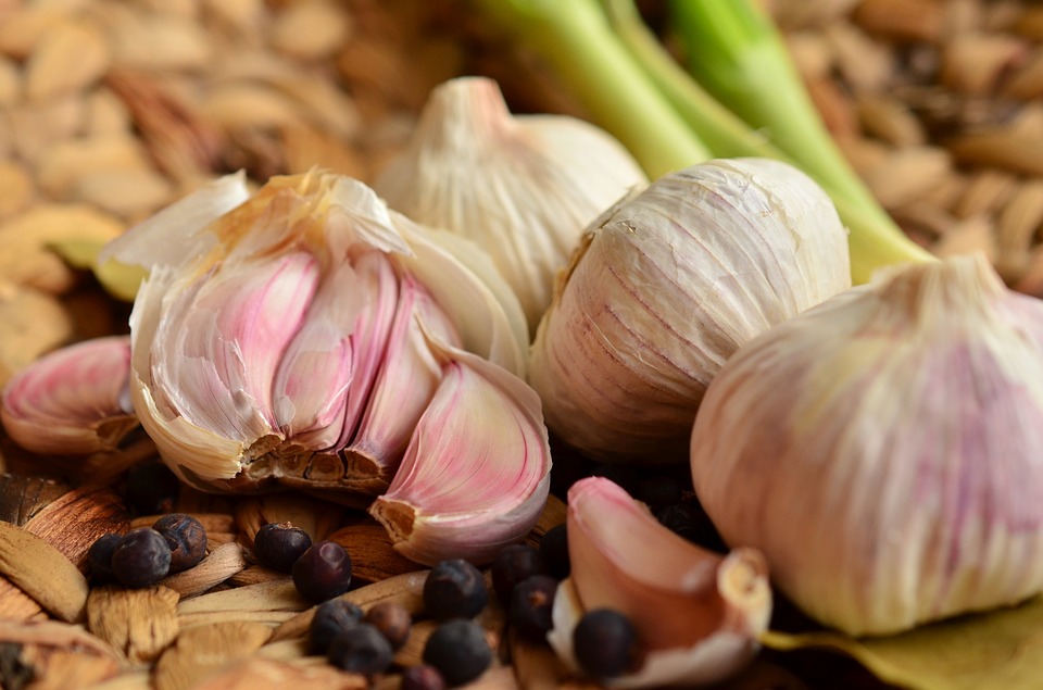 cesnak imunita