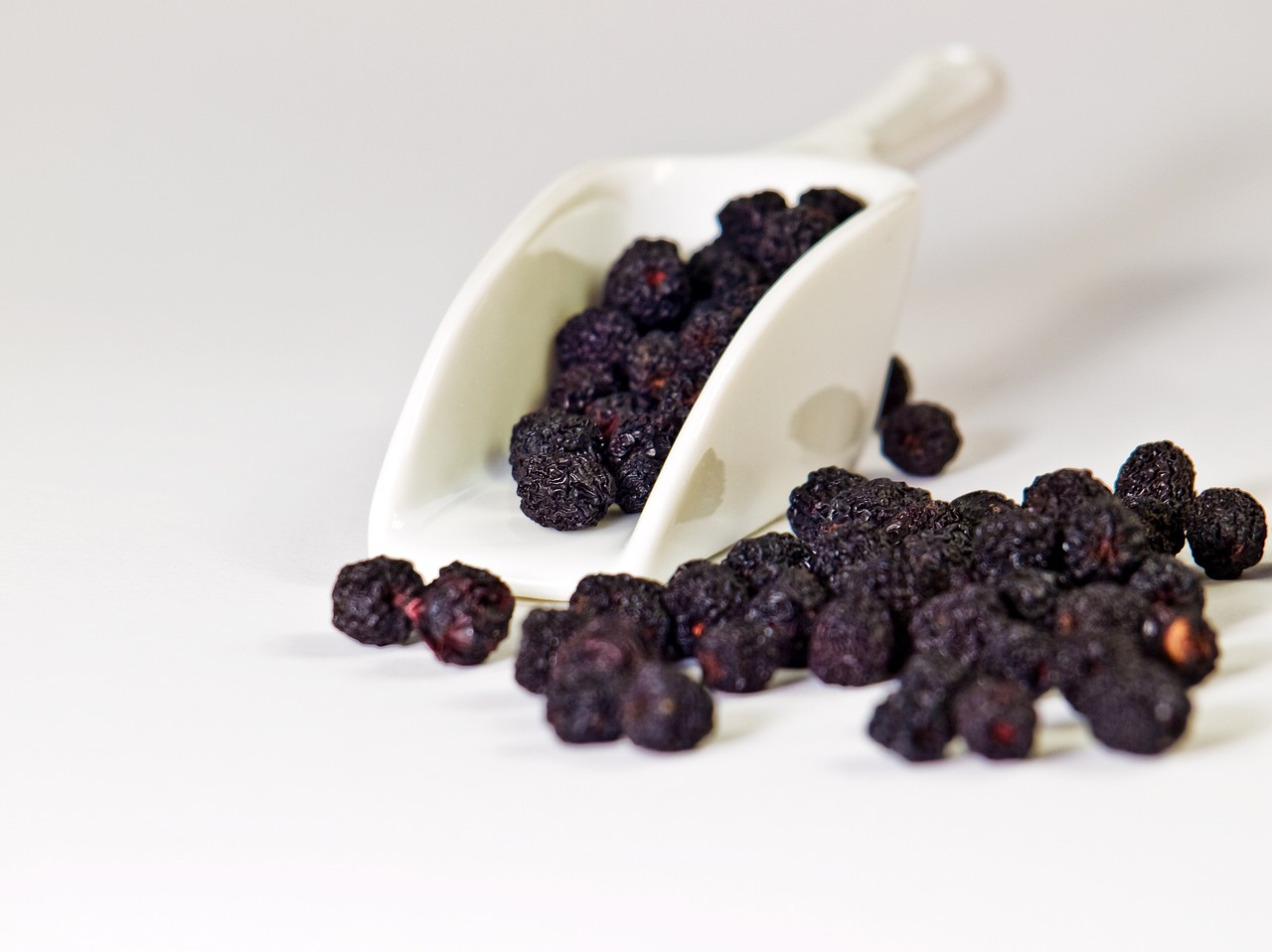 aronia susena