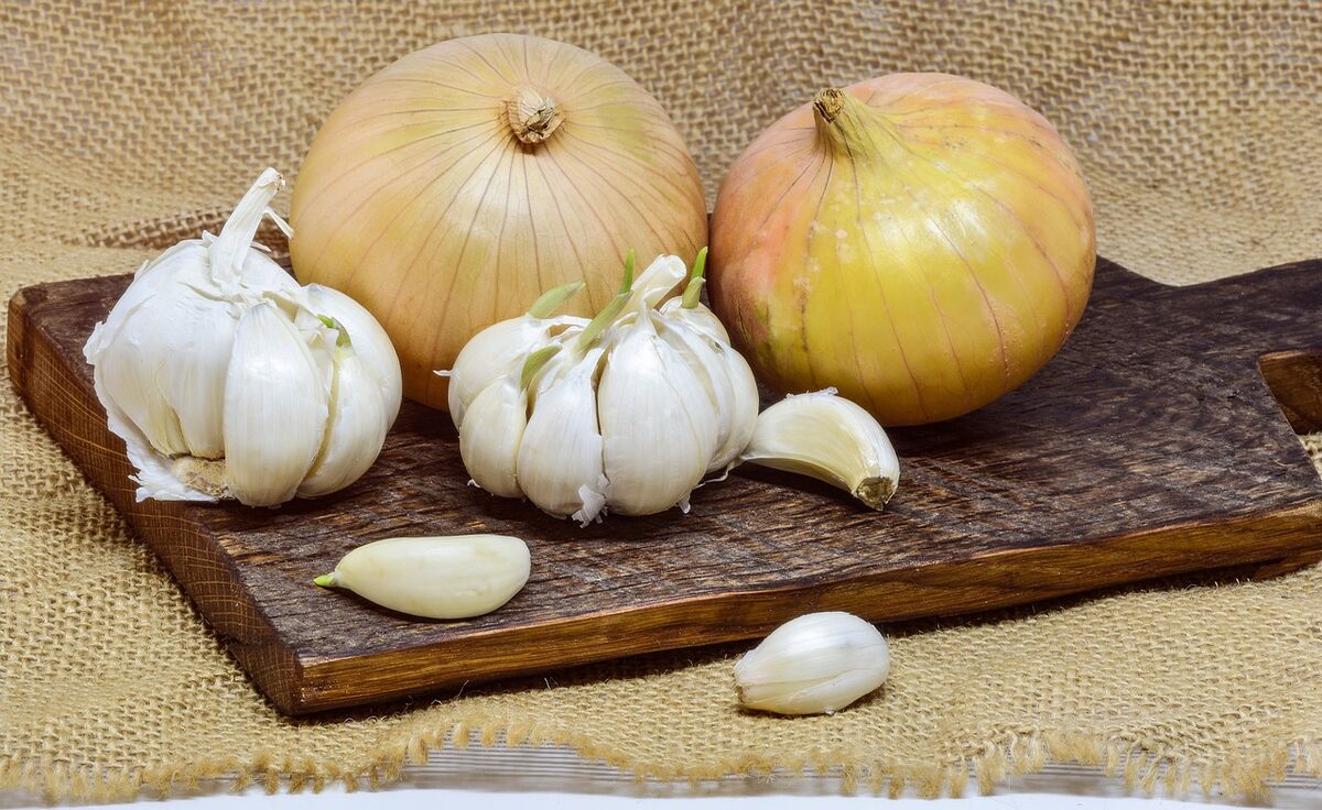 cibula cesnak