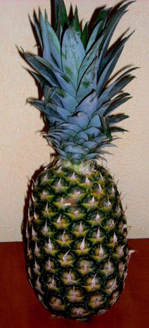 ananas2