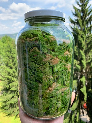 smrekovy sirup vyhonky